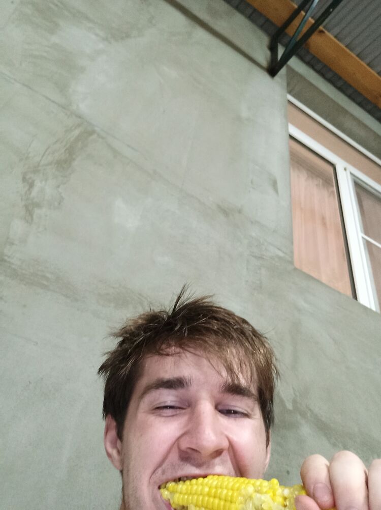  29288563  , 23 ,    