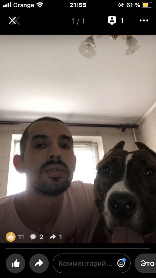 ���������� �������, ���� ������� ����, 45 ���, ������������ ��� ������, ����� � ���������