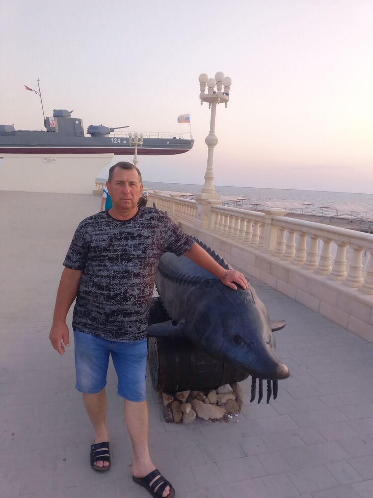  53055433  , 56 ,    -