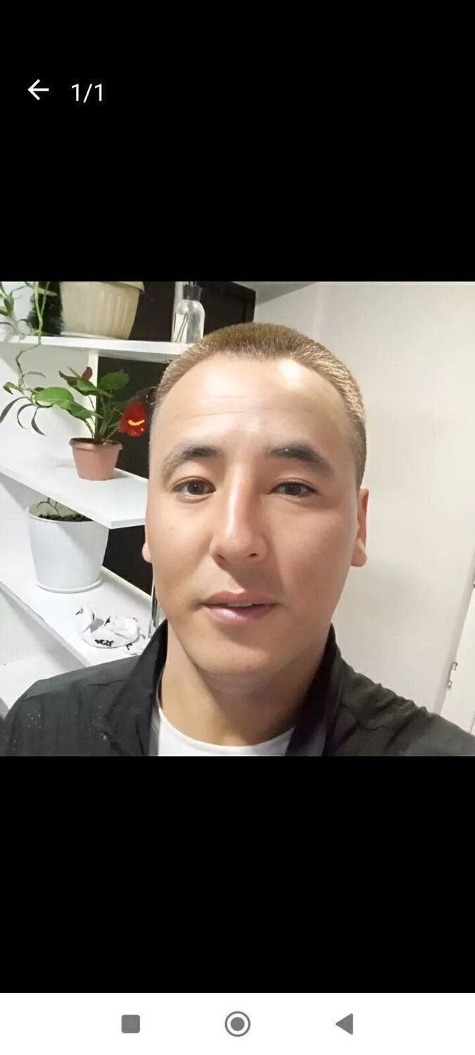  53361063  , 31 ,    