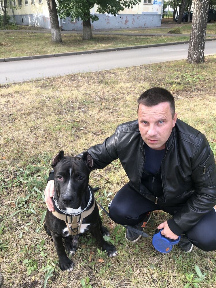 ���� 34268423 ������� ������, 44 ����, ���� ���������� � ���