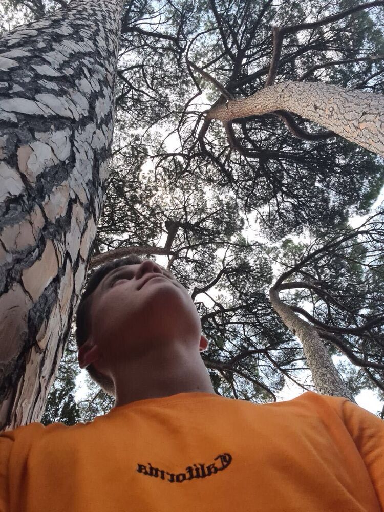 ���������� ��������, ���� ����� ����, 23 ����, ������������ ��� ������, ����� � ���������