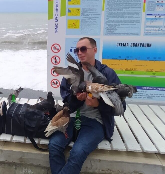 ���� 24547083 ������� �������, 40 ���, ���� ���������� � ����������