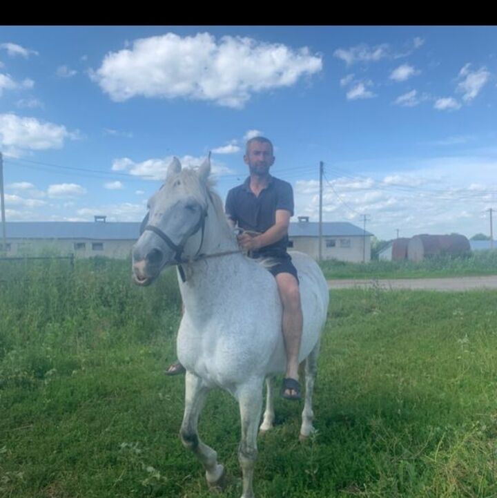 ���������� ������, ���� ������� ��������, 38 ���, ������������ ��� ������, ����� � ���������