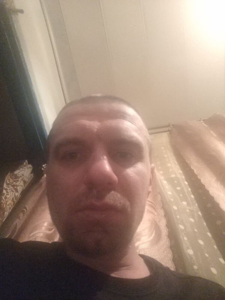  41435683  , 38 ,    