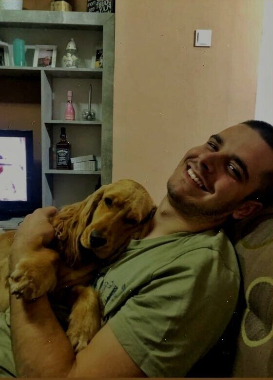 ���� 56025393 ������� ������, 38 ���, ���� ���������� � ��������