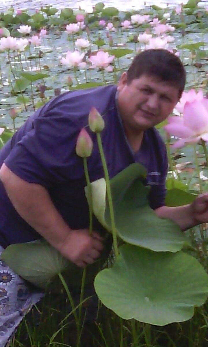  ,   , 56 ,   