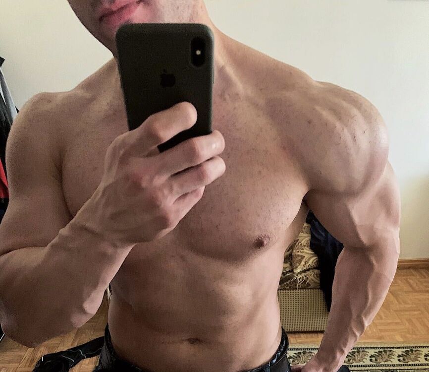  28489483  , 31 ,    