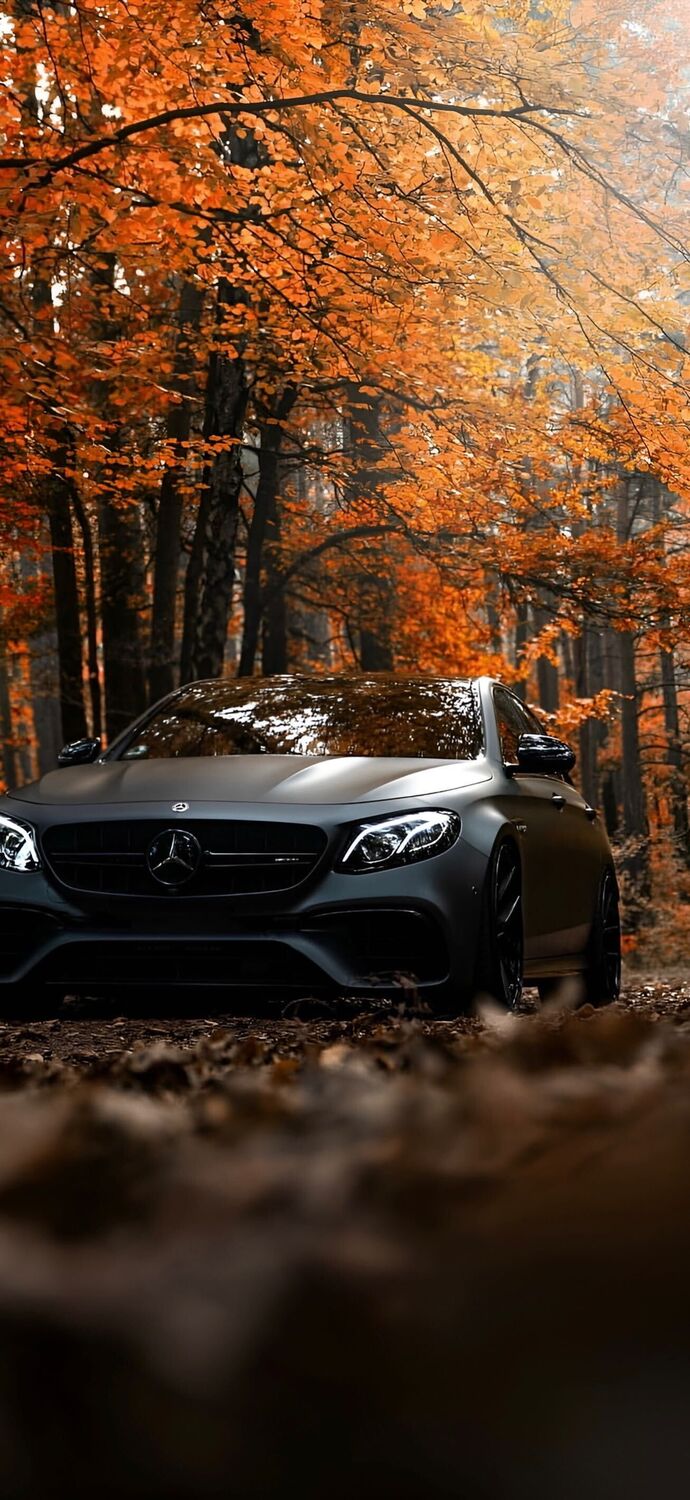 ���� 50182853 ����� ������, 23 ����, ���� ���������� � ������