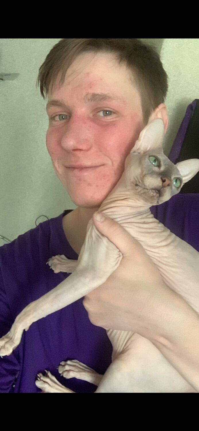  -,   , 29 ,   ,   , 