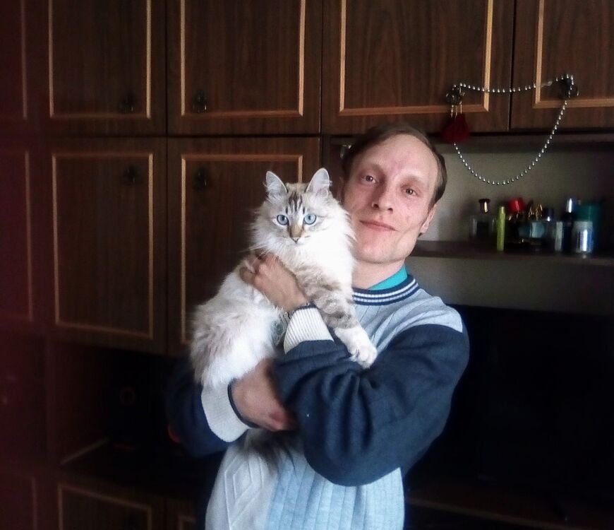  ,    , 38 ,   ,   , c 