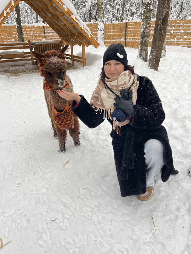 ���������� ����������, ���� ������� ���������, 38 ���, ������������ ��� ������, ����� � ���������, c�������� ���������