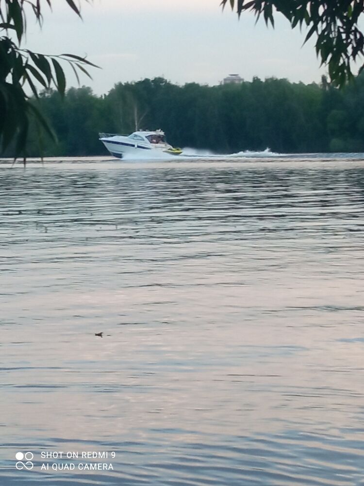 ���� 44139533 ������� �������, 39 ���, ���� ���������� � ������