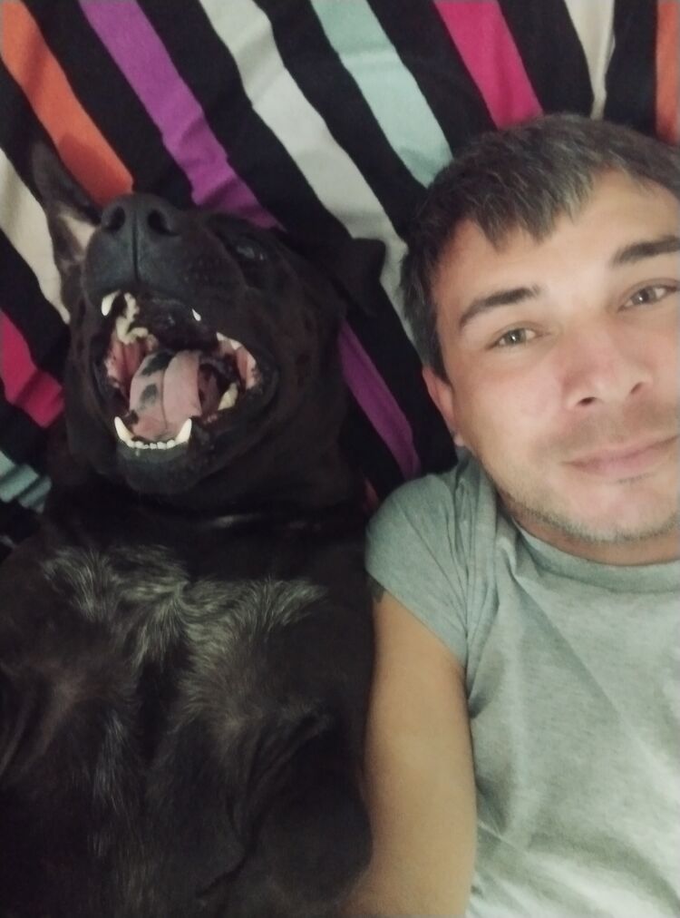 ���� 37430693 ������� ����, 43 ����, ���� ���������� � ����������