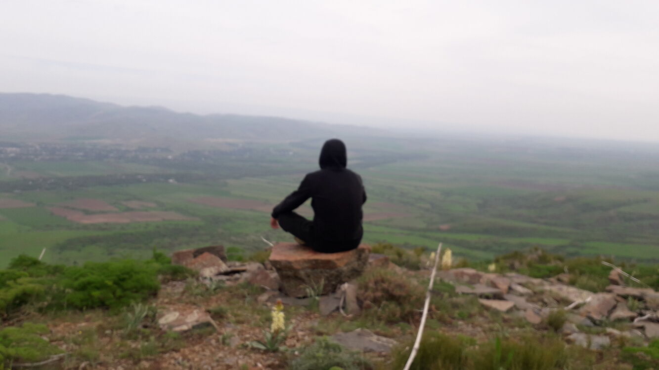  31173023  , 41 ,    