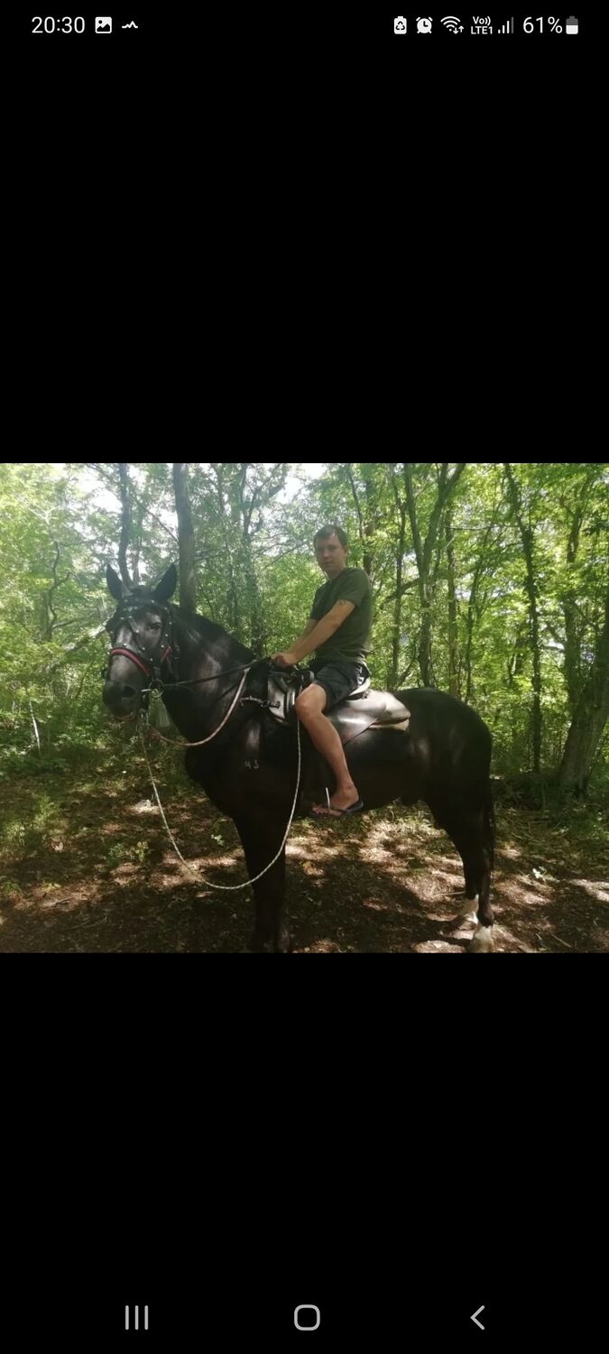 ���������� ���������, ���� ������� �����, 42 ����, ������������ ��� ������, ����� � ���������