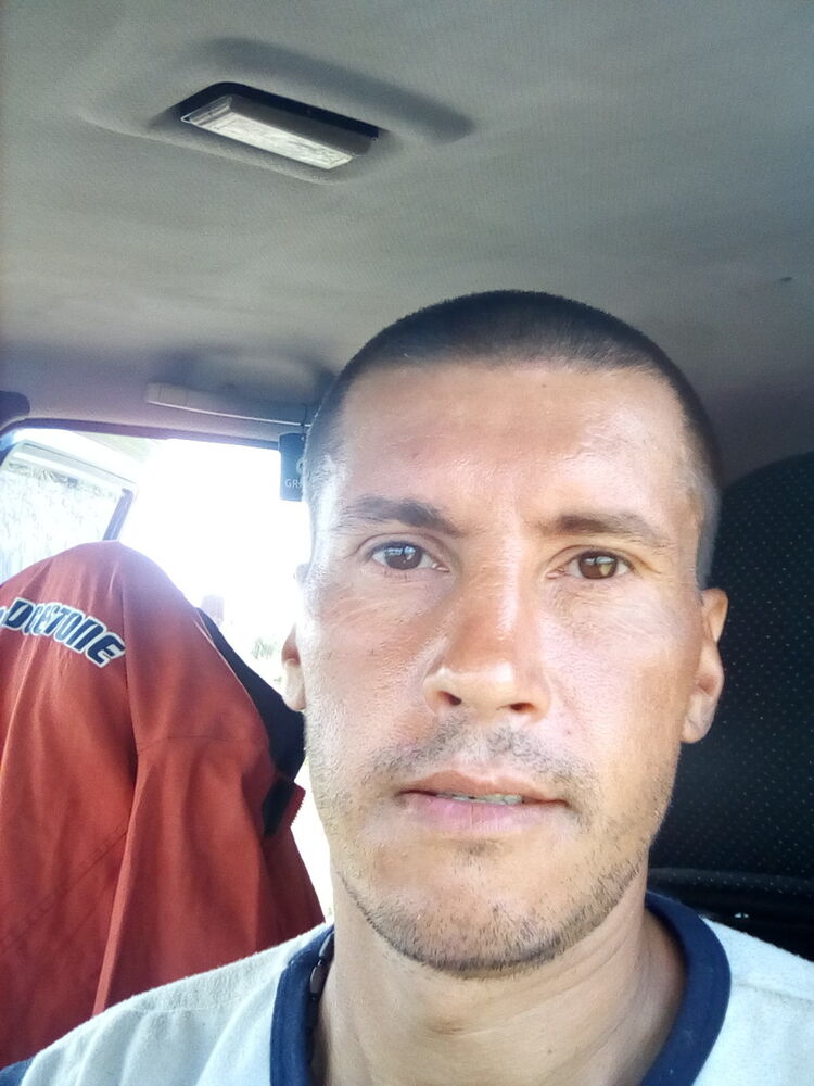  17538033  , 44 ,    