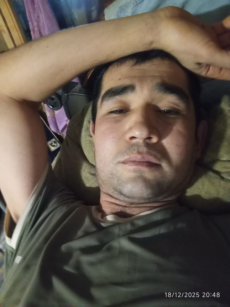 ���� 54891143 ������� Akbar, 31 ���, ���� ���������� � ���������