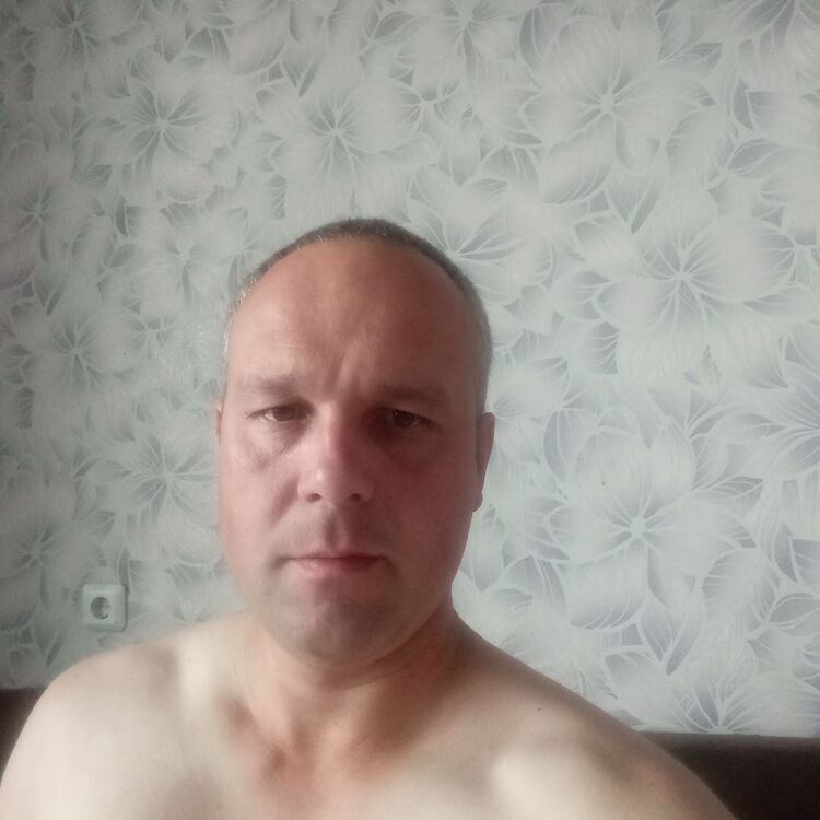  53014853  , 40 ,    