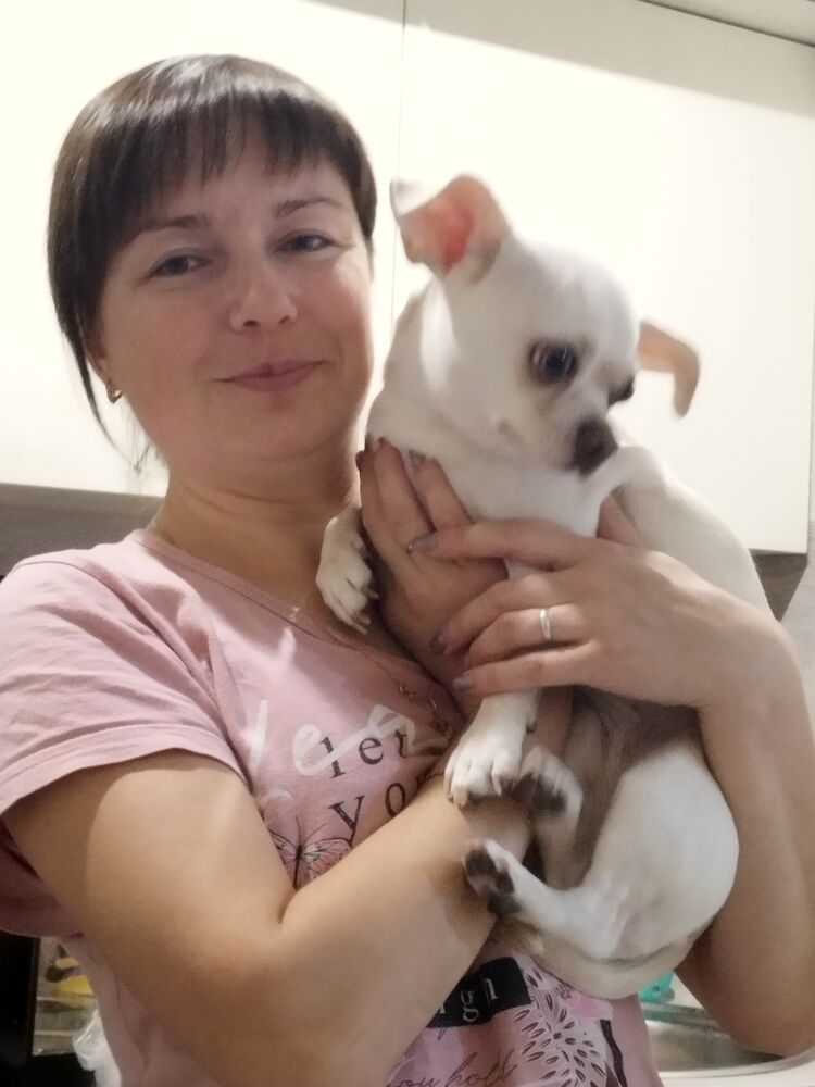 ���� 42766973 ������� �������, 39 ���, ���� ���������� � �������