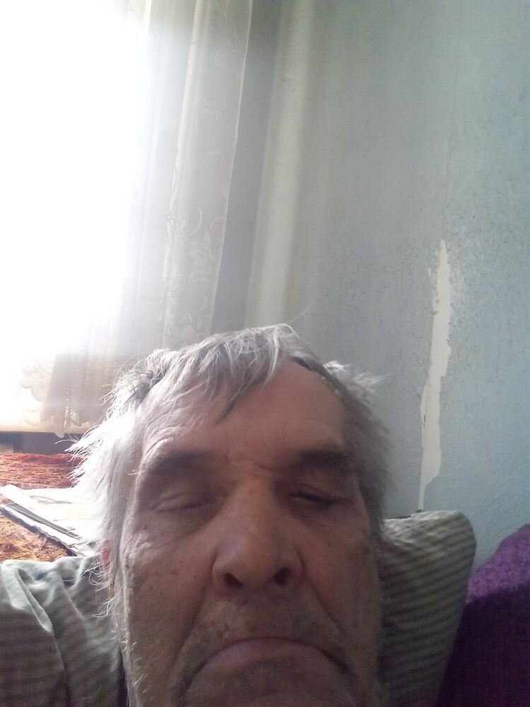 50429503  , 38 ,    
