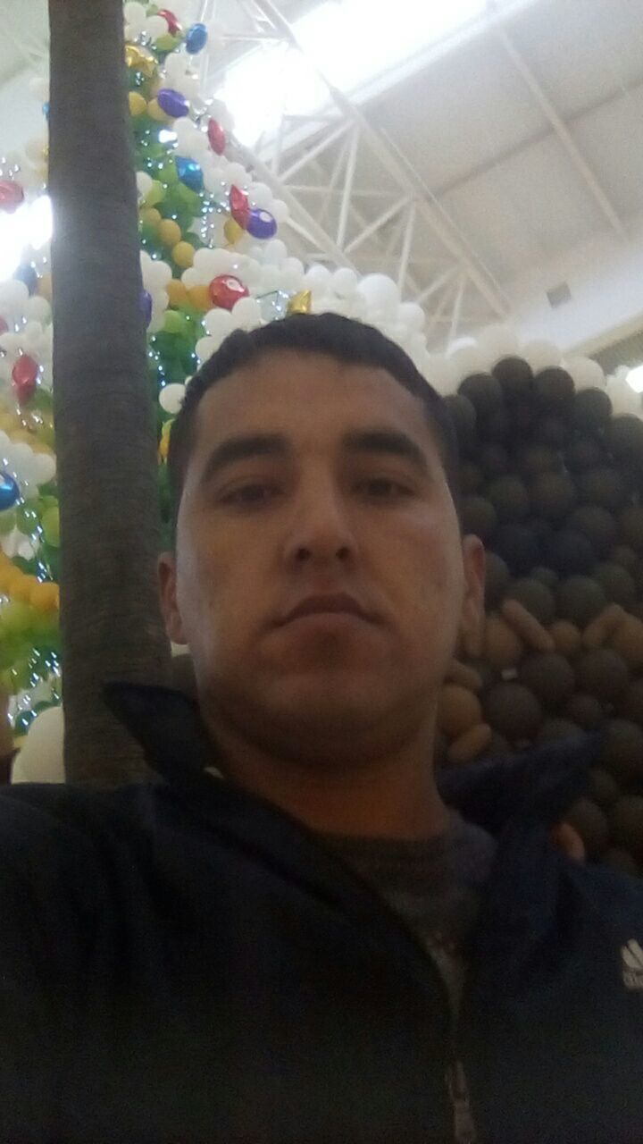 ���������� ����, ���� ������� ����, 33 ����, ������������ ��� ������, ����� � ���������, c�������� ���������, ���������