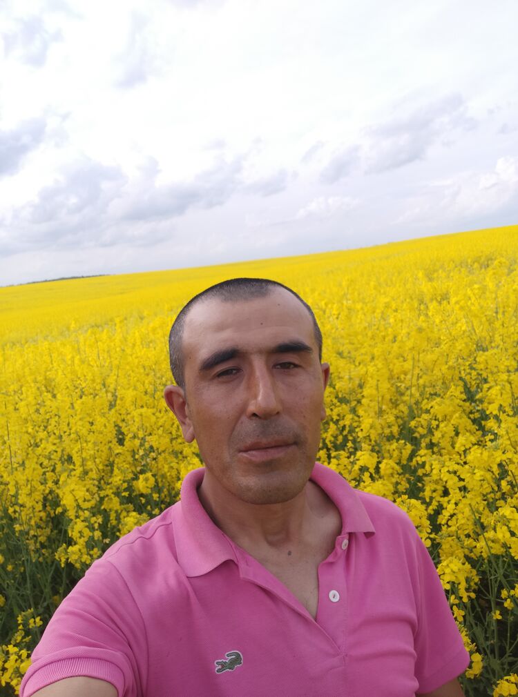  26864083  , 32 ,    
