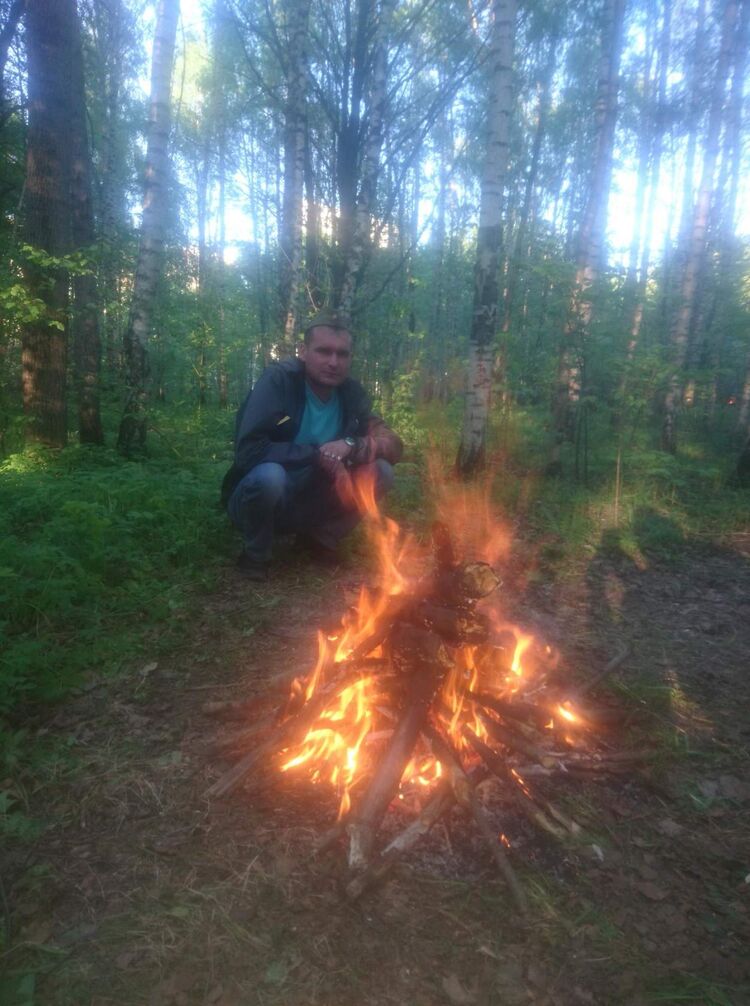  49452253  , 43 ,    
