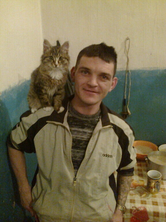 ���� 25141383 ������� ����, 43 ����, ���� ���������� � ����������