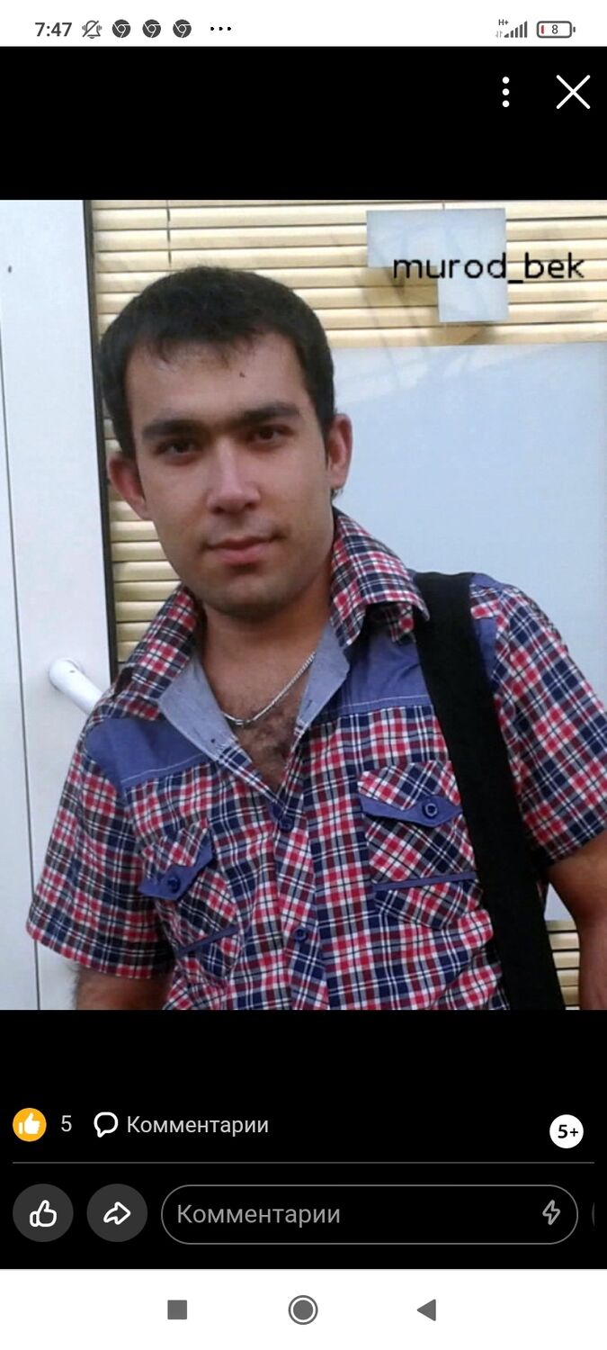 31056383  , 37 ,    