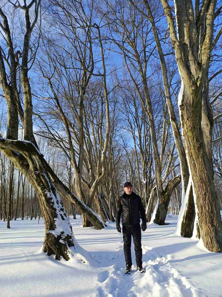 ���������� �����, ���� ������� �����, 43 ����, ������������ ��� ������, ����� � ���������