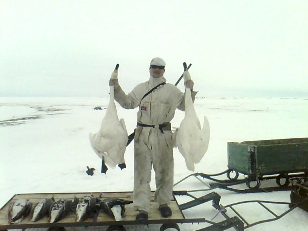 ���������� ����, ���� ������� ����, 41 ���, ������������ ��� ������, ����� � ���������, c�������� ���������