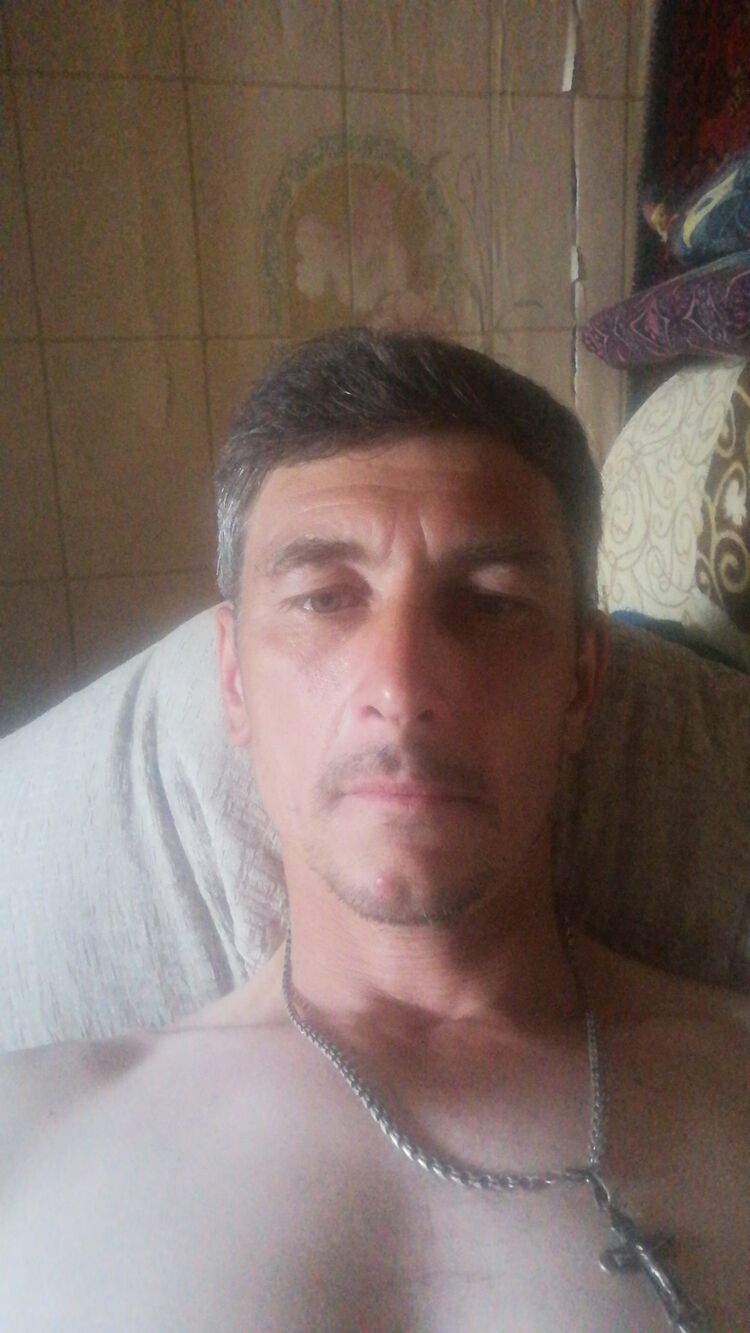  45249413  , 44 ,    