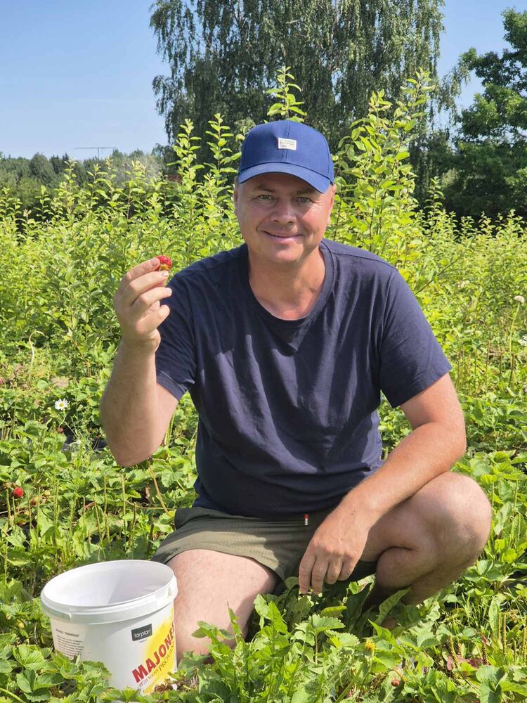 ���� 55654563 ������� Roman, 45 ���, ���� ���������� � ��������