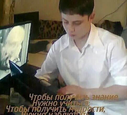 ���� 35167503 ������� ����, 35 ���, ���� ���������� � ��������