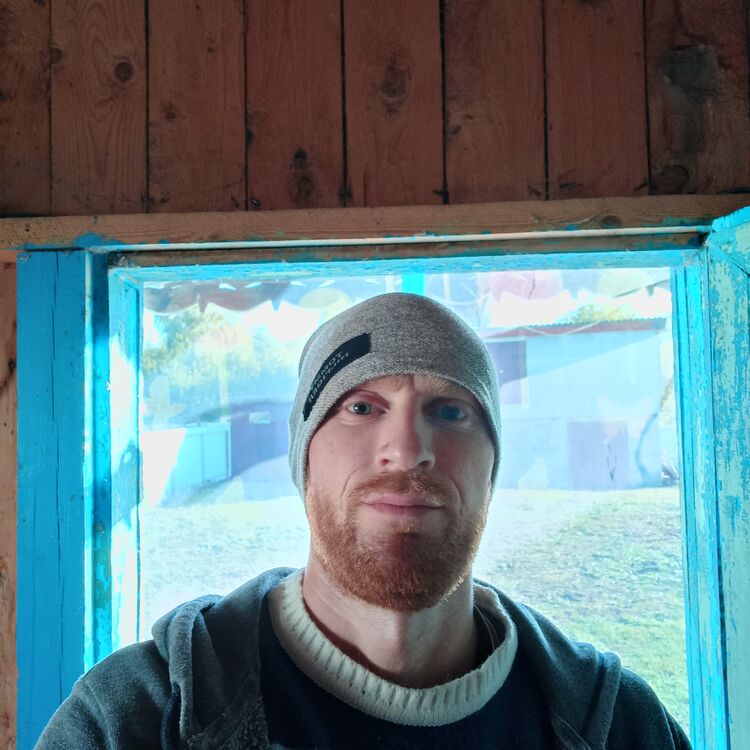 ���� 51297483 ������� �������, 31 ���, ���� ���������� � ������