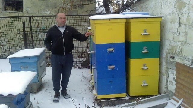 ���� 26605103 ������� �������, 48 ���, ���� ���������� � �������-��-����