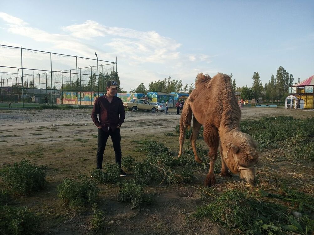 ���� 16248743 ������� ���, 30 ���, ���� ���������� � ������