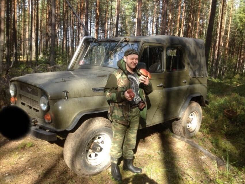  40565583  Sheridan fox, 40 ,    -