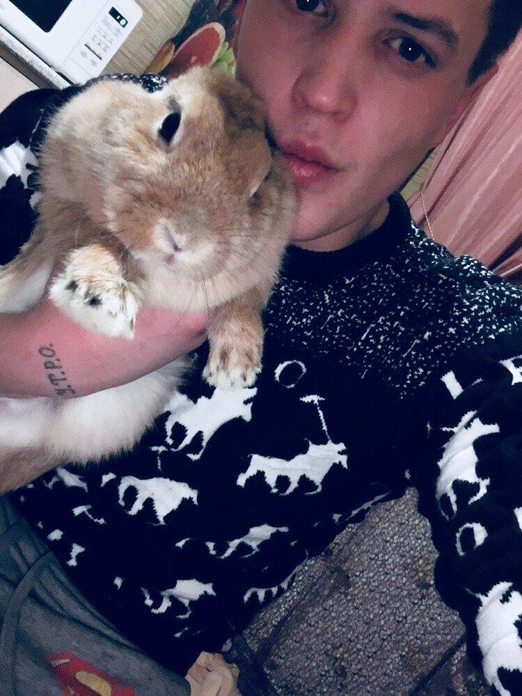 ���������� ������, ���� ������� �������, 28 ���, ������������ ��� ����� � ���������, c�������� ���������