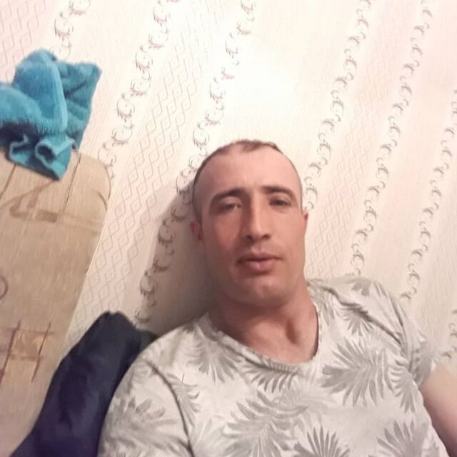  34097343  , 38 ,    