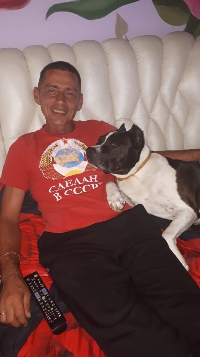 ���� 51726523 ������� ������, 56 ���, ���� ���������� � ����������