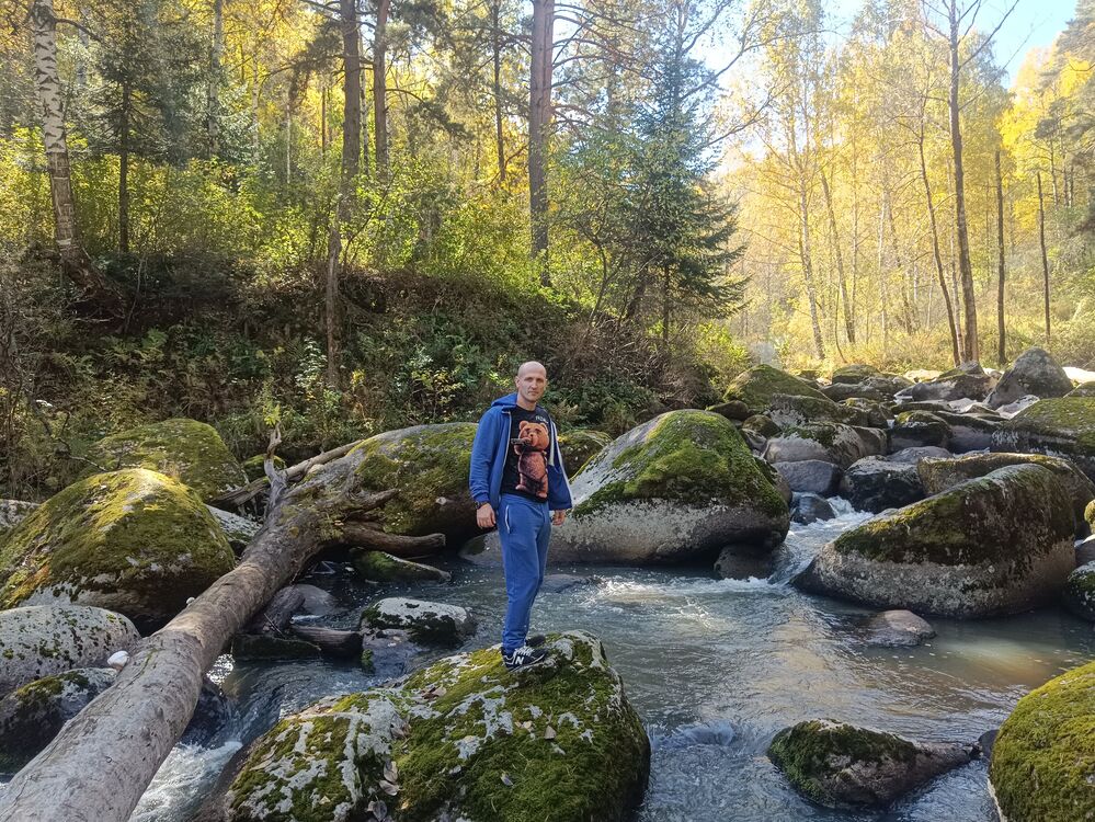 ���� 46448053 ������� �����, 41 ���, ���� ���������� � ��������