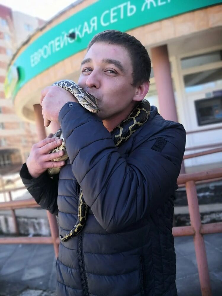 ���� 33185973 ������� ��������, 35 ���, ���� ���������� � �����-����������