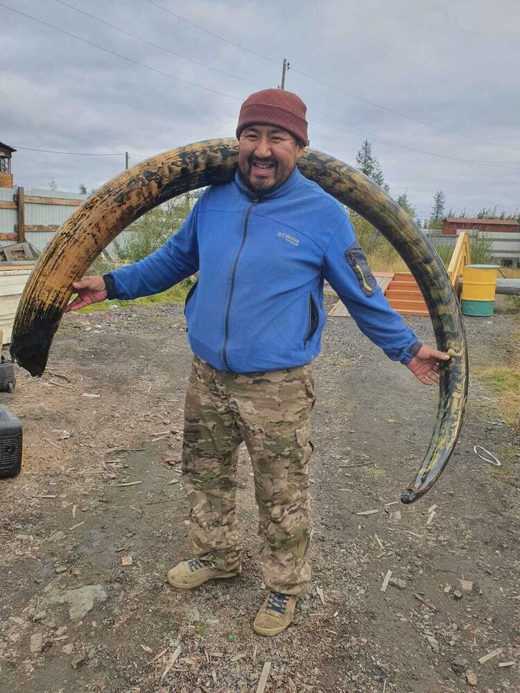 ���������� ������, ���� ������� ���������, 43 ����, ������������ ��� ������, ����� � ���������