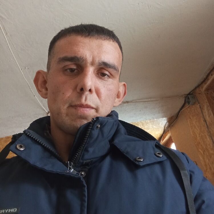  42663123  , 31 ,    