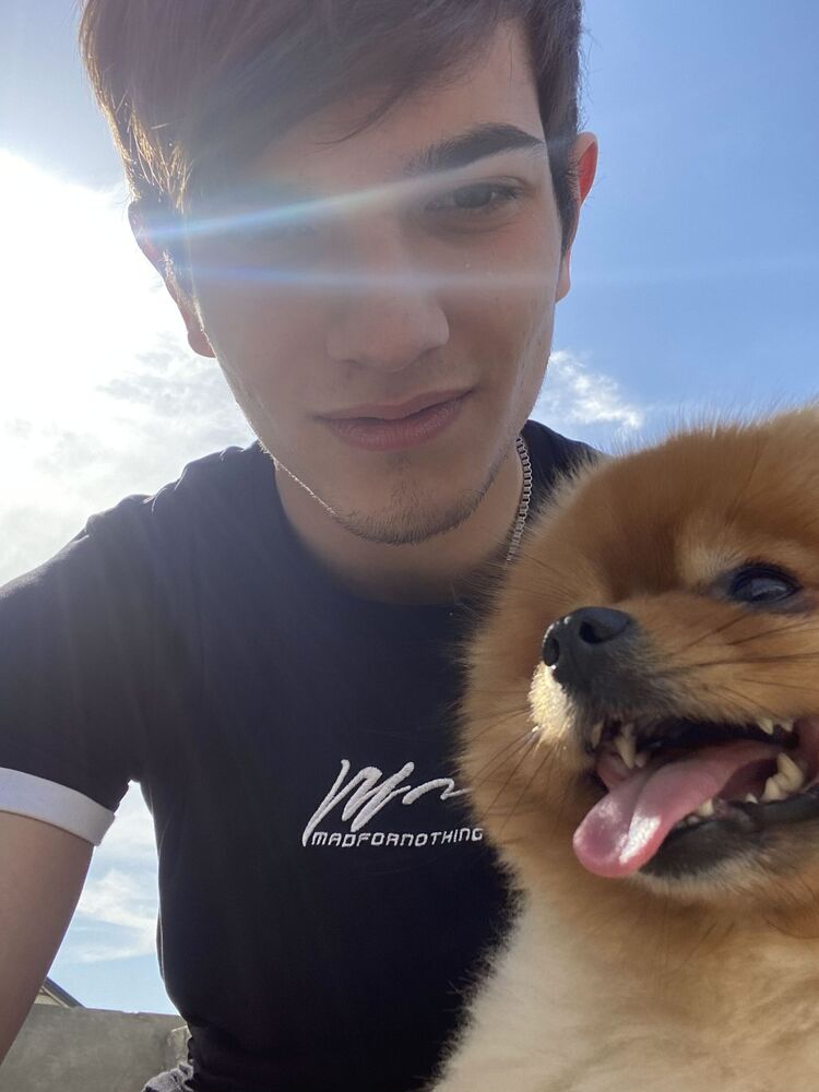 ���� 26213133 ����� Elmir, 22 ����, ���� ���������� � ����