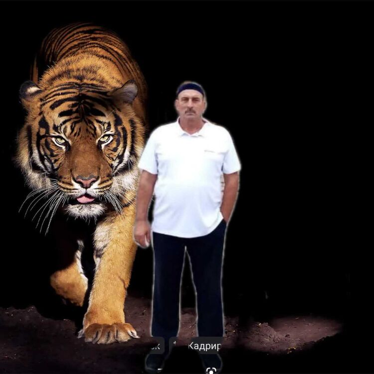 ���� 26895303 ������� �������, 60 ���, ���� ���������� � ����������