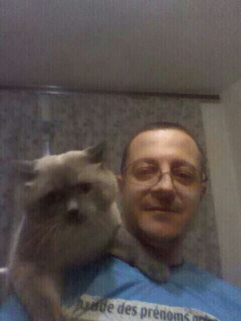 ���������� �����������, ���� ������� ������, 48 ���, ������������ ��� c�������� ���������