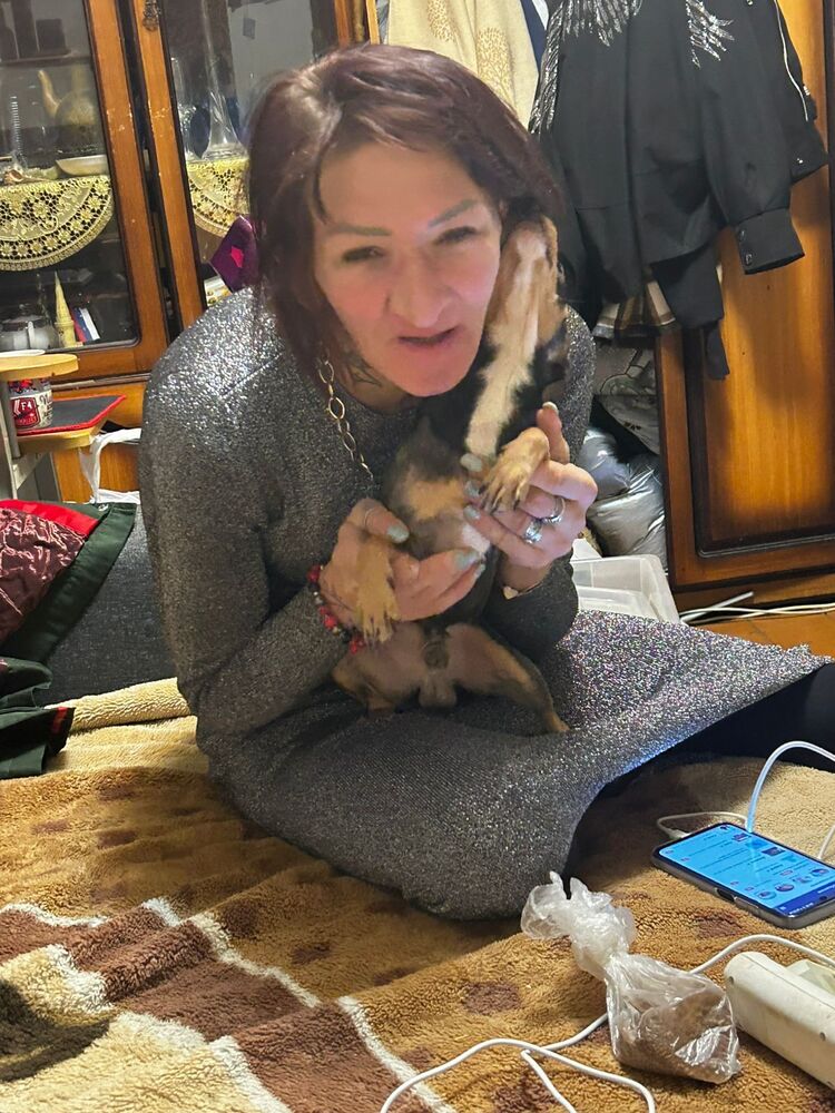  ,    , 38 ,   ,   , 